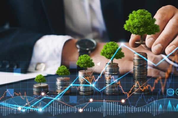 打新基金是什么意思 什么是打新基金(2025/12/02)