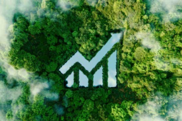 华盛顿枪击案嫌犯面临谋杀指控 特朗普誓言扩大对移民的打击